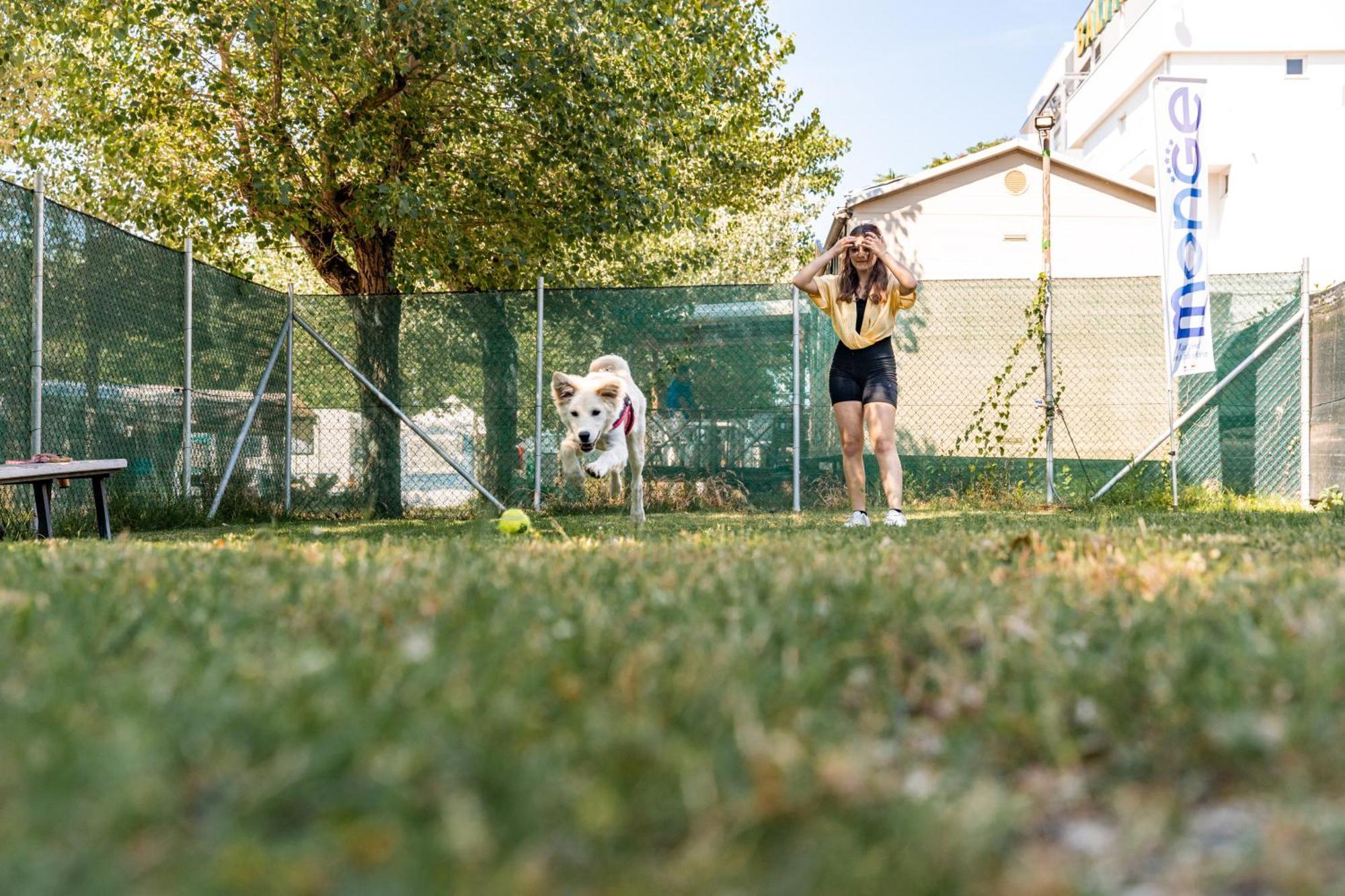 Club Del Sole Riccione Easy Camping Village Exterior photo